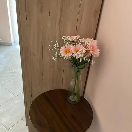 Apartment Cozy Family *